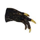 Amulet - Alligator Claw (Luck)